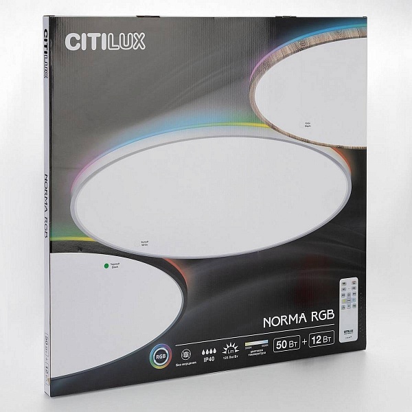 Светильник потолочный CITILUX NORMA CL749601
