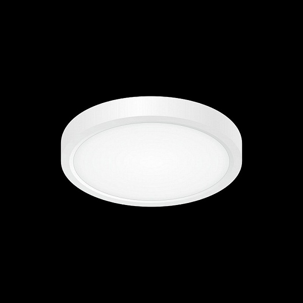 Светильник потолочный CITILUX БЕЙСИК CL738120N