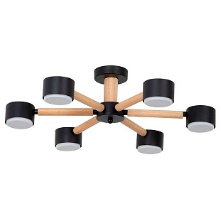 Люстра потолочная ARTE LAMP TENDA A1624PL-6BK
