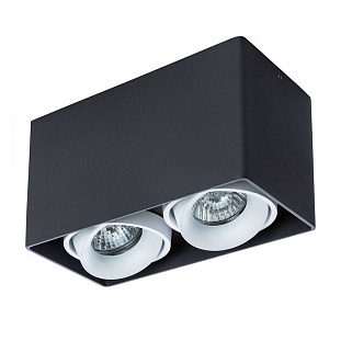 Спот ARTE LAMP PICTOR A5654PL-2BK