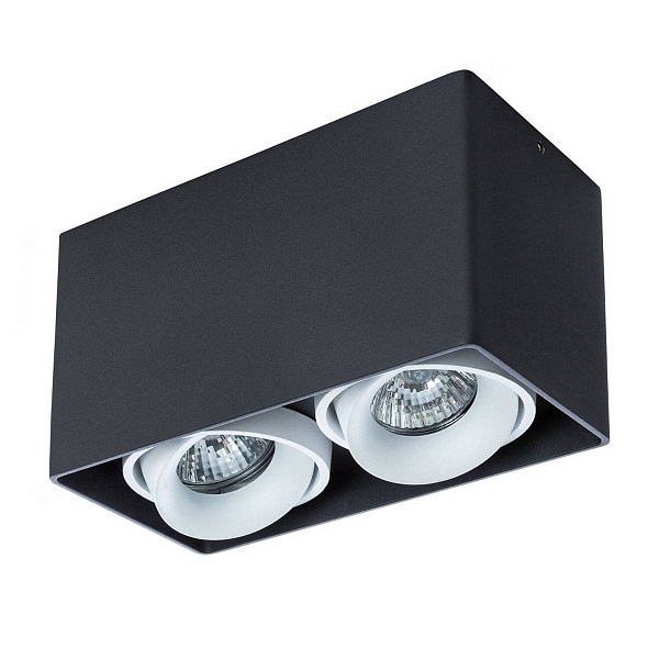 Спот ARTE LAMP PICTOR A5654PL-2BK