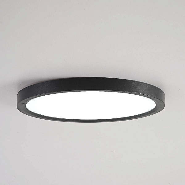 Светильник потолочный IMPERIUMLOFT SLIM 178442-26