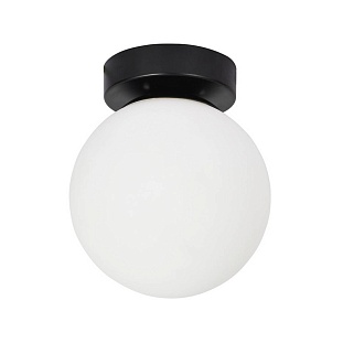 Светильник настенно-потолочный ARTE LAMP ALCOR A2224PL-1BK