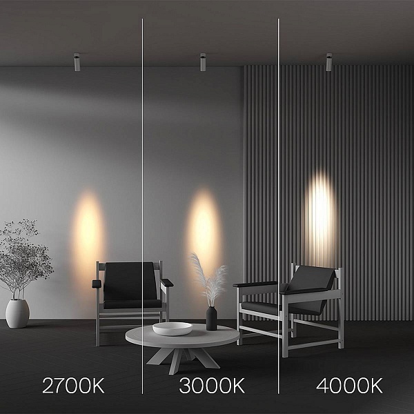Спот MAYTONI FOCUS LED C055CL-L12W2.7K-SS-W
