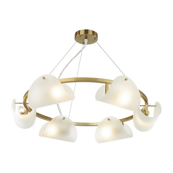 Люстра подвесная LUMION FIORO 6571/6