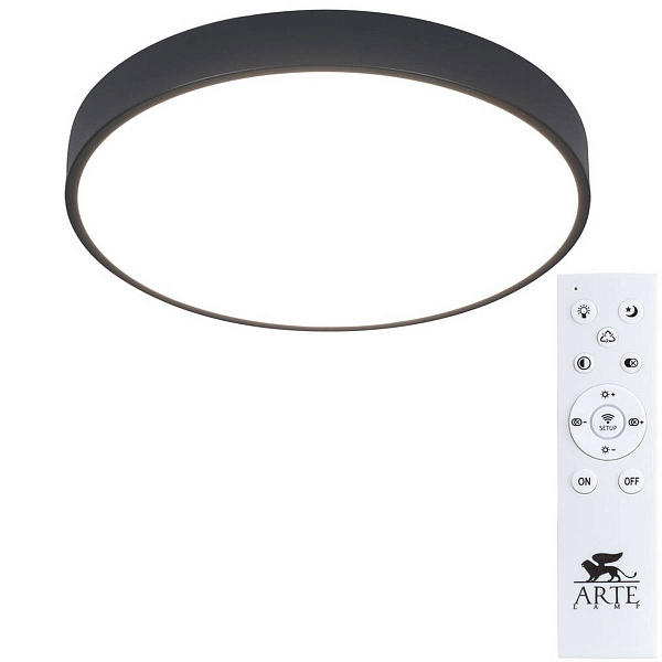 Светильник потолочный ARTE LAMP ARENA A2661PL-1BK