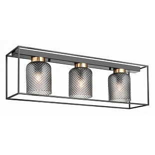 Светильник потолочный VELE LUCE MORRISON VL5472L03
