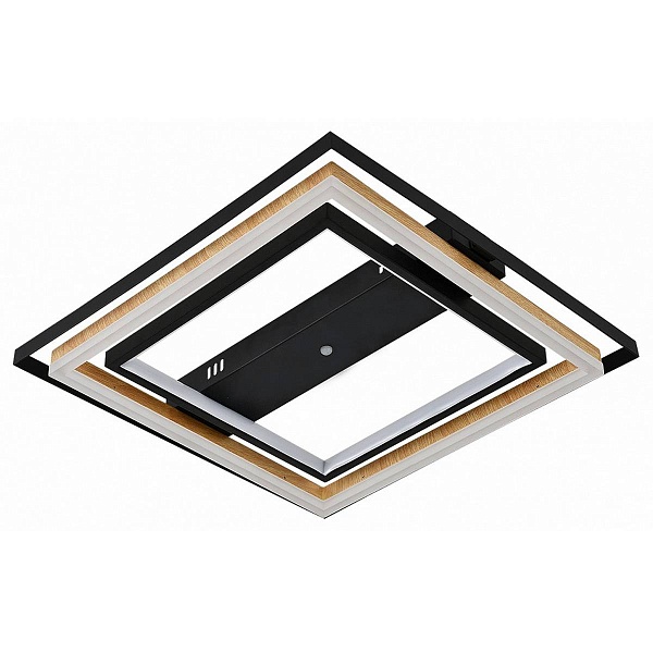 Светильник потолочный ESCADA LAGOM 10249/2LED