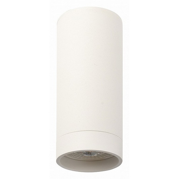 Спот DENKIRS DK2000 DK2051-WH