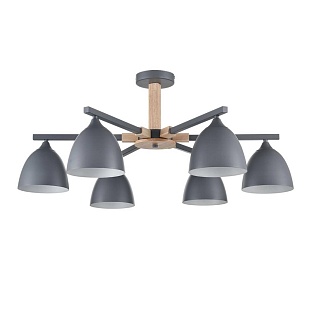 Люстра потолочная LUMION COLANGE 8096/6C