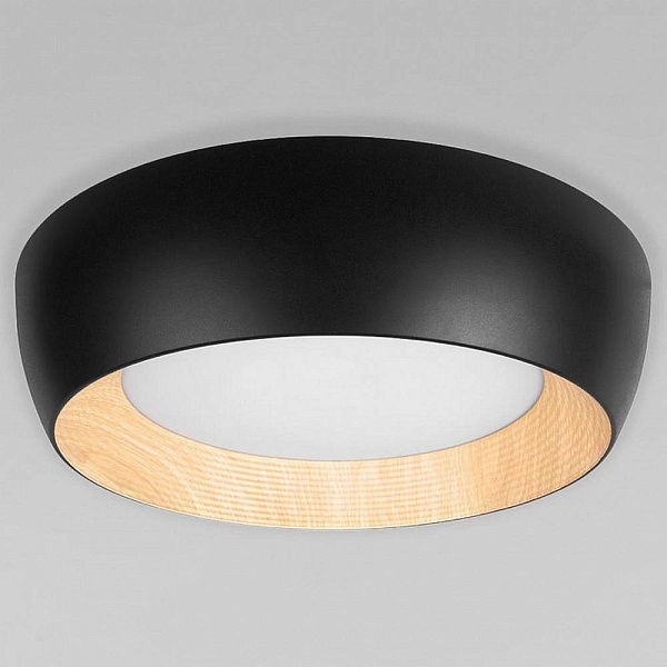 Светильник потолочный LOFT IT FOLK 10255/500 Black