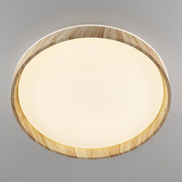 Светильник потолочный CITILUX ENZO CL753452G