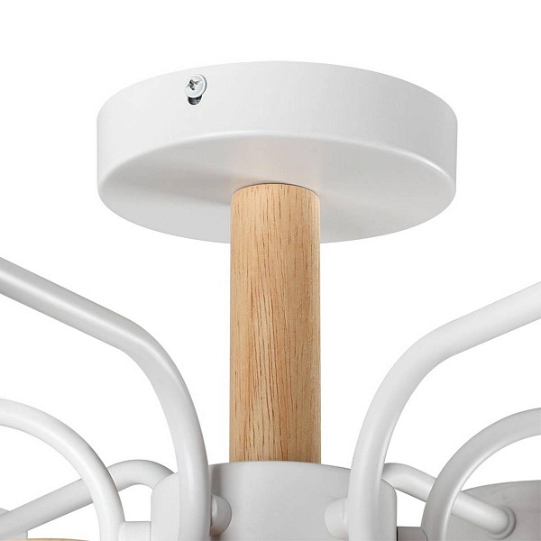 Люстра потолочная LUMION RONDO 8231/6C