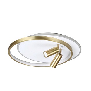 Светильник потолочный LUMION NAOKO 5603/63CL
