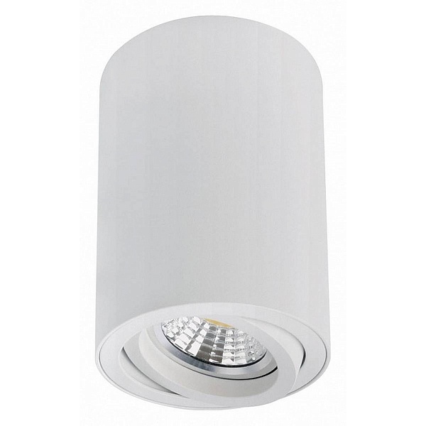 Спот ARTE LAMP SENTRY A1566PL-1WH