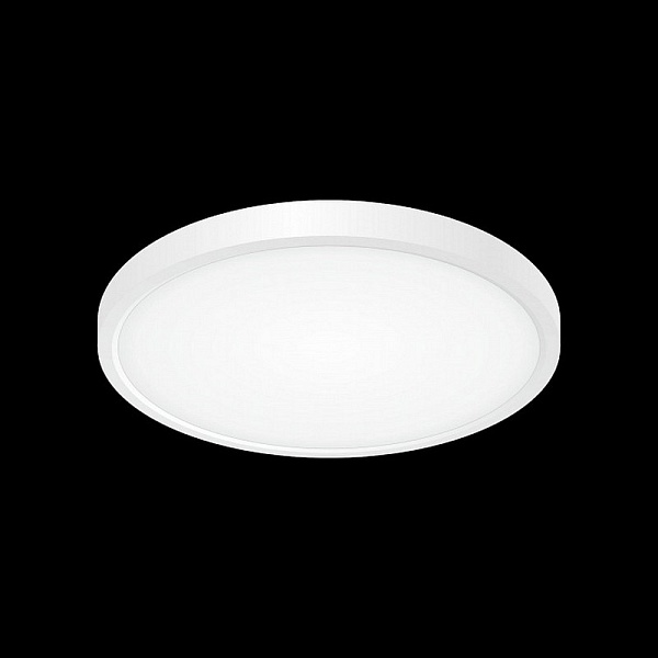 Светильник потолочный CITILUX БЕЙСИК CL738240V