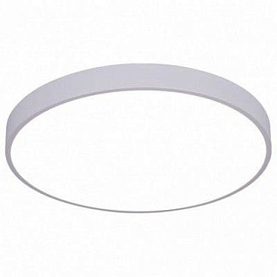 Светильник потолочный ARTE LAMP ARENA A2670PL-1WH