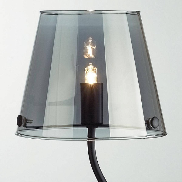 Настольная лампа LUMION SMOKY 6570/1T