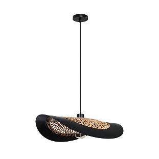 Подвес ARTE LAMP WOODSTOCK A7059SP-1BK