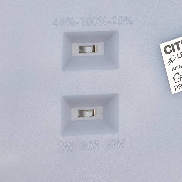 Светильник потолочный CITILUX NORMA CL748601