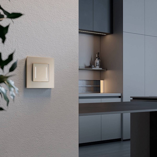 Выключатель сенсорный 2-кл, c Wi-Fi, шампань, W4523011, WERKEL