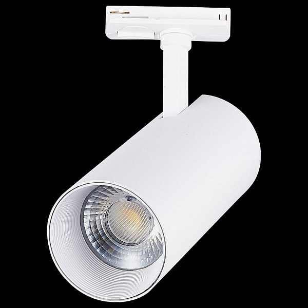 Трековый светильник ST LUCE MONO ST350.546.30.36