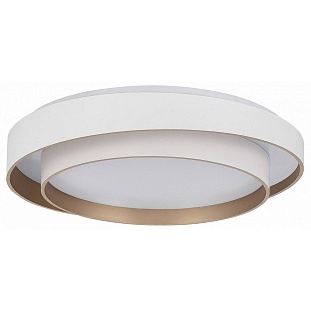 Светильник потолочный EVOLUCE CROSBY SLE6009-502-01