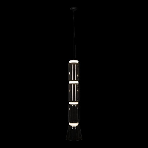 Подвес LOFT IT NOCTAMBULE 10193/L