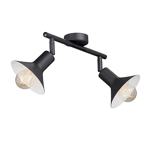 Спот VITALUCE V4807-1/2PL