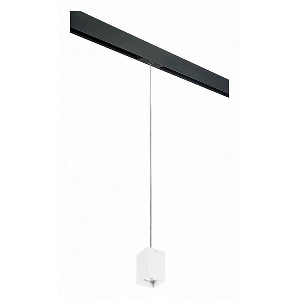 Трековый светильник LIGHTSTAR RULLO PRORP336