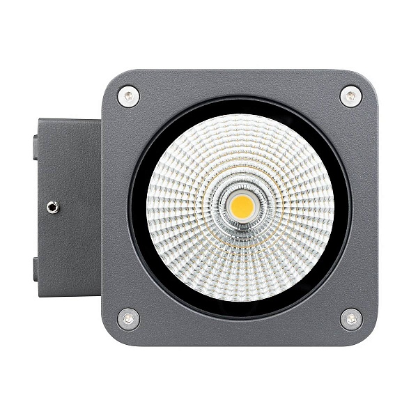 Светильник уличный настенный ARLIGHT LGD-EVO 46194