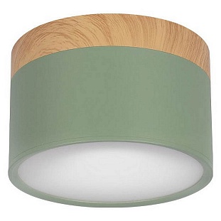 Светильник потолочный LOFT IT GRAPE 10162 Green