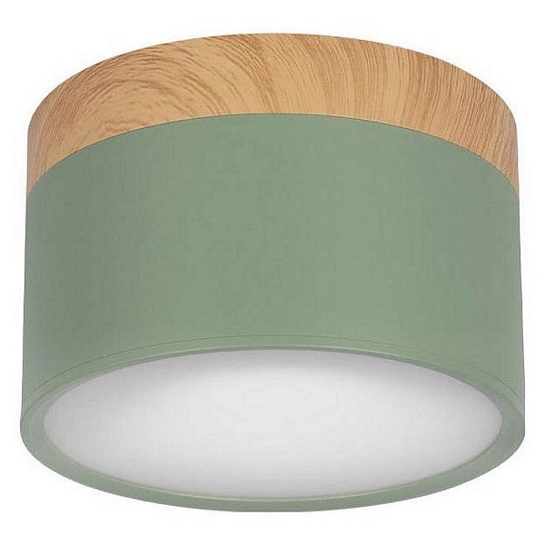 Светильник потолочный LOFT IT GRAPE 10162 Green