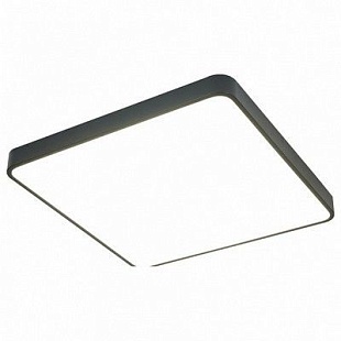 Светильник потолочный ARTE LAMP SCENA A2669PL-1BK