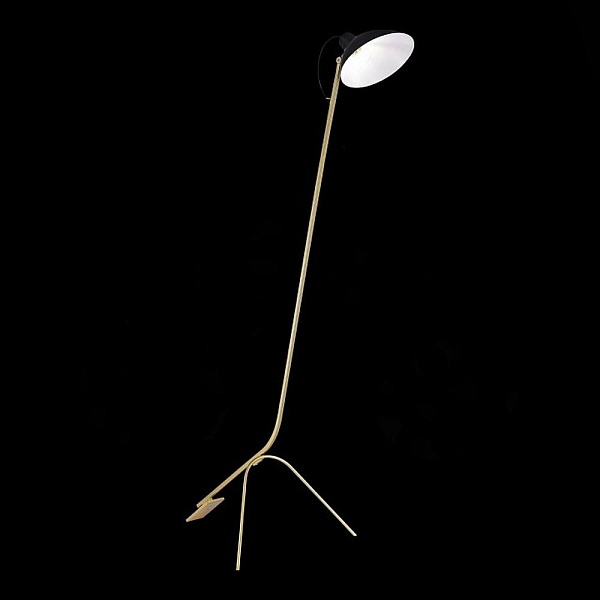 Торшер ST LUCE JARRO SL1803.205.01