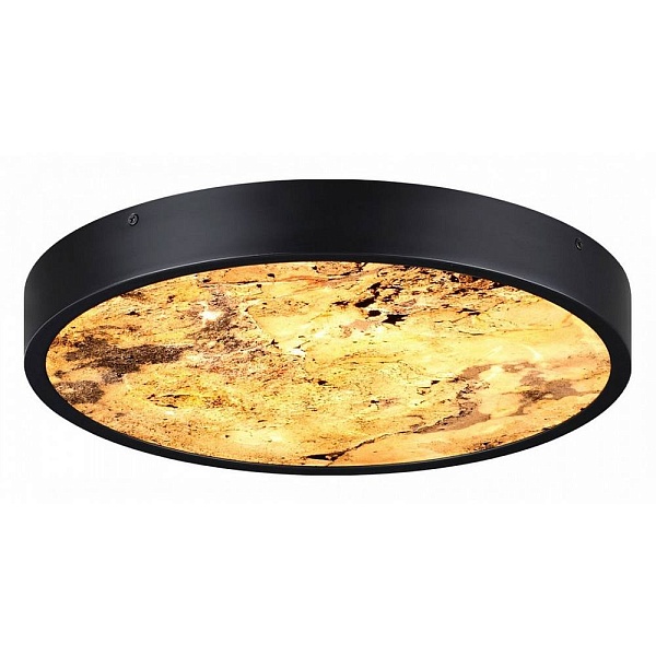 Бра ODEON LIGHT BERGI 5064/24L