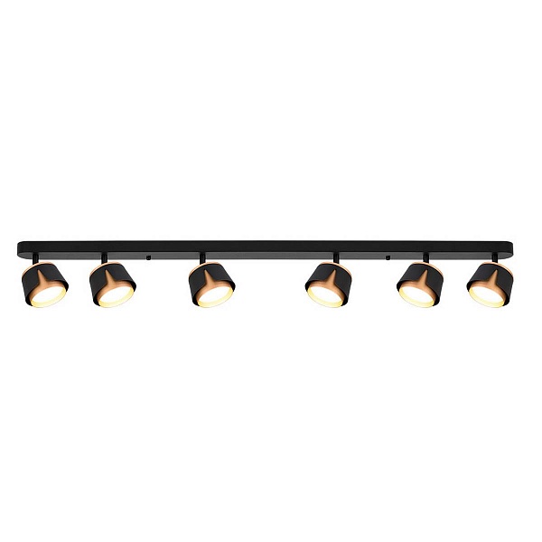 Спот ARTE LAMP AMAKS A8028PL-6BK