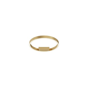 Светильник потолочный MAYTONI RIM MOD058CL-L25BSK
