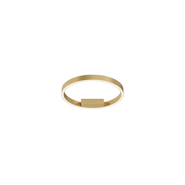 Светильник потолочный MAYTONI RIM MOD058CL-L25BSK
