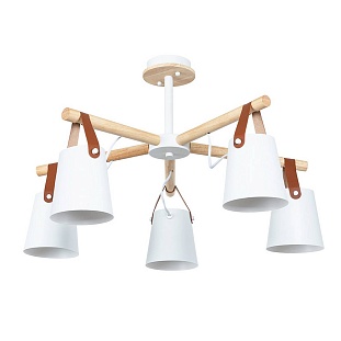Люстра потолочная ARTE LAMP THOMAS A7032PL-5WH