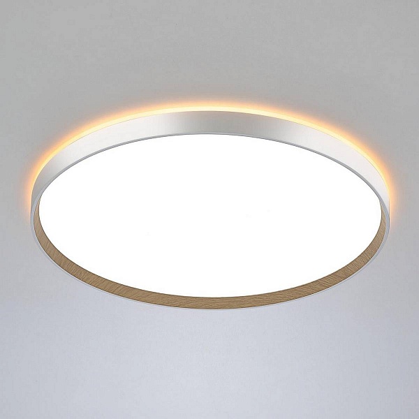 Светильник потолочный CITILUX ETALON CL750500R