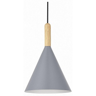 Подвес EVOLUCE ARKET SLE1255-423-01
