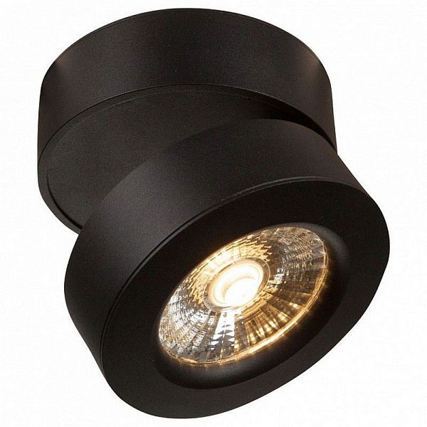 Спот MAYTONI TREVISO C023CL-L20B