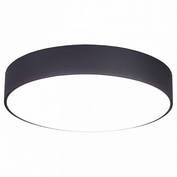 Светильник потолочный CITILUX ТАО CL712242N