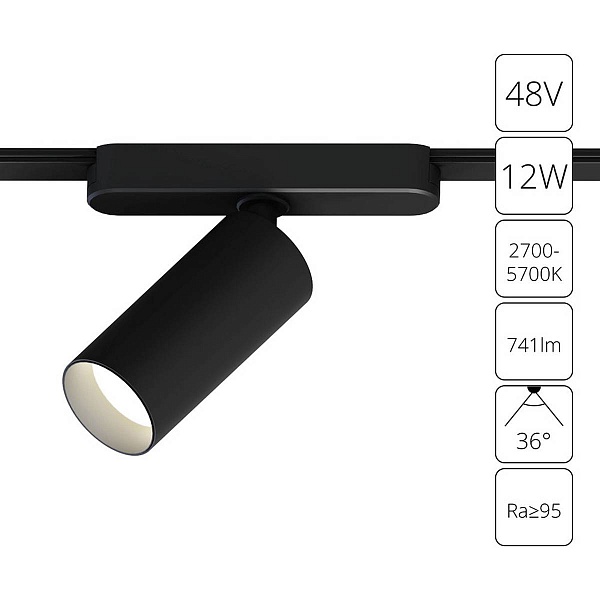 Трековый светильник ARTE LAMP RAPID A2958PL-1BK