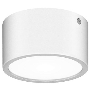 Светильник уличный потолочный LIGHTSTAR ZOLLA 380163