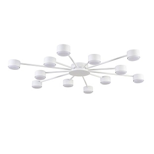 Люстра потолочная LUMION TORINA 8343/12C