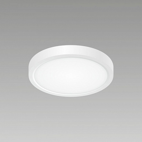 Светильник потолочный CITILUX БЕЙСИК CL738120N