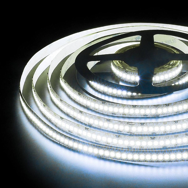 Лента LED 24 W/m 12V IP20 2835/240 6500K 10mm (5м) a050176 ELEKTROSTANDARD