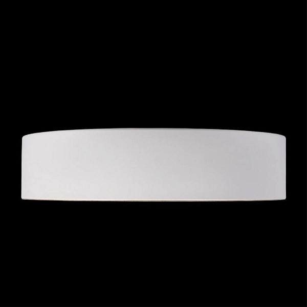 Светильник потолочный LOFT IT COIN 10202 White